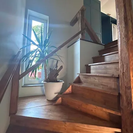 Apartman Tulbi Suvituskodu